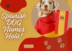 spanish dog names